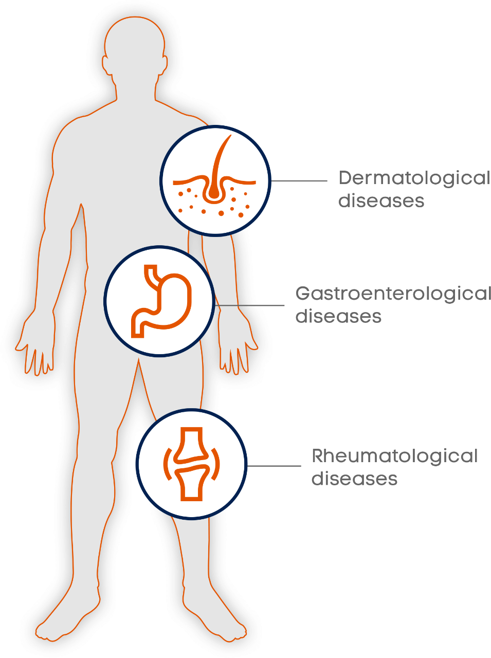 body information flixabi indications